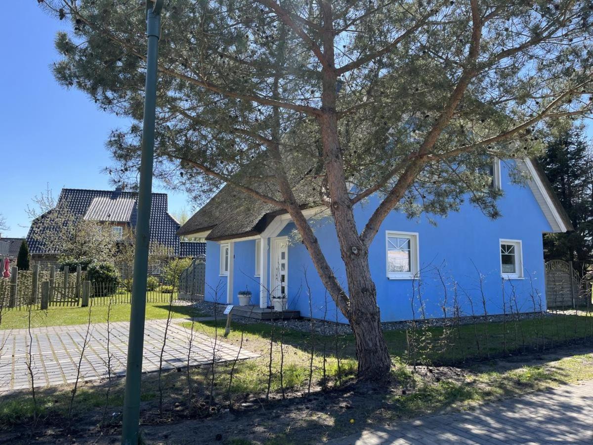 Ferienhaus De Niege Leive Born Εξωτερικό φωτογραφία